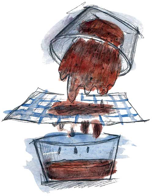 Making walnut ink