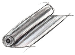 Papier aluminium
