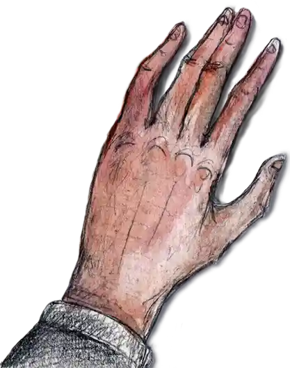 l1_gauche